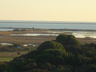  Entretenimiento junto al mar 